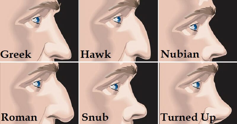 Nose Shapes